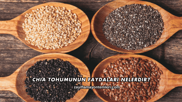 Chia Tohumunun Faydaları Nelerdir?