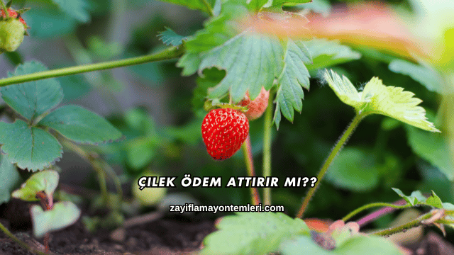 Çilek Ödem Attırır mı?