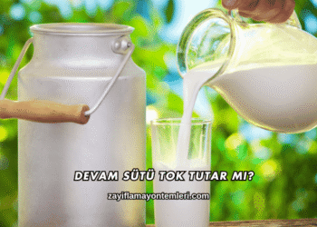 Devam Sütü Tok Tutar mı?