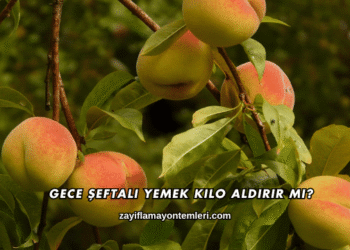Gece Şeftali Yemek Kilo Aldırır mı?