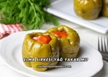 Dolma Biber Kaç Kalori