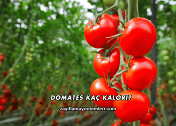 Domates Kaç Kalori?