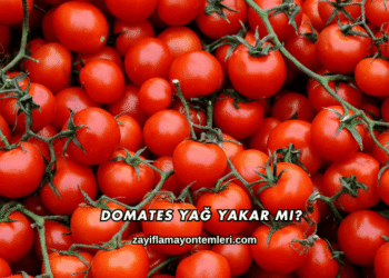 Domates Yağ Yakar mı?