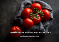 Domatesin Faydaları Nelerdir?
