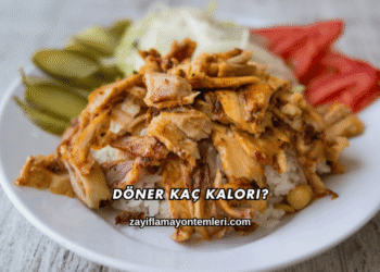 Döner Kaç Kalori?