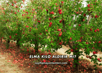 Elma Kilo Aldırır mı?