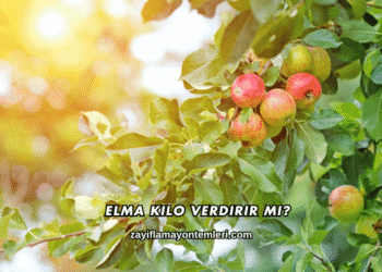 Elma Kilo Verdirir mi?