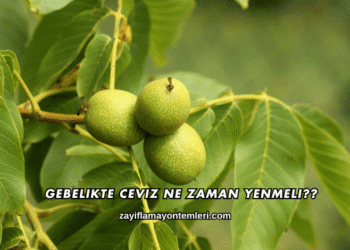 Gebelikte Ceviz Ne Zaman Yenmeli?