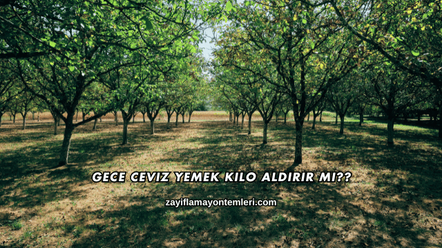 Gece Ceviz Yemek Kilo Aldırır mı?