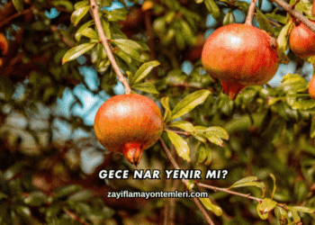 Gece Nar Yenir mi?