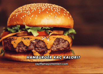 Hamburger Kaç Kalori?