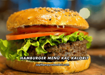 Hamburger Menü Kaç Kalori?