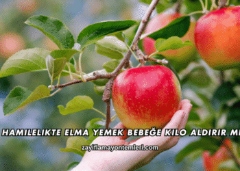 Hamilelikte Elma Yemek Bebeğe Kilo Aldırır mı?