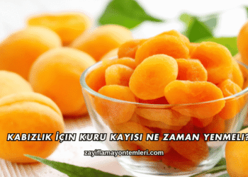 Kabızlık İçin Kuru Kayısı Ne Zaman Yenmeli?