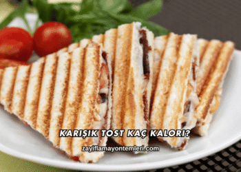 Karışık Tost Kaç Kalori?
