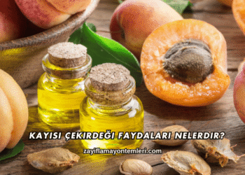 Kayısı Çekirdeği Faydaları Nelerdir?