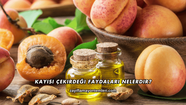 Kayısı Çekirdeği Faydaları Nelerdir?