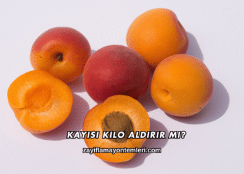 Kayısı Kilo Aldırır mı?