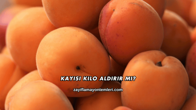 Kayısı Kilo Aldırır mı?