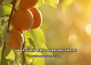 Kayısının Faydaları Nelerdir?