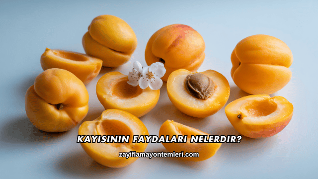 Kayısının Faydaları Nelerdir?