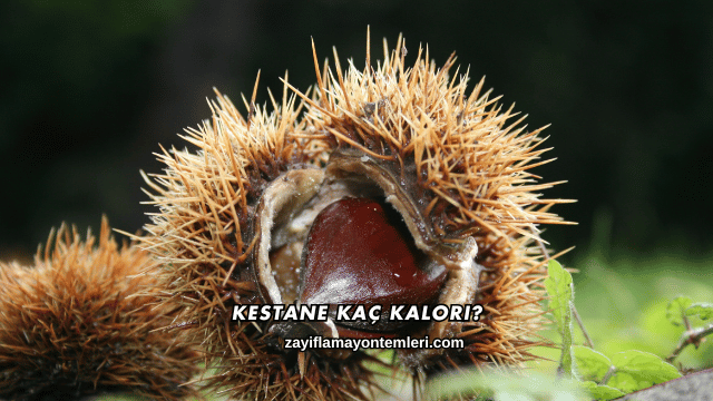 Kestane Kaç Kalori?
