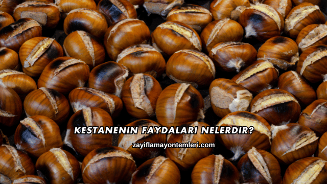 Kestanenin Faydaları Nelerdir?