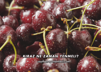 Kiraz Ne Zaman Yenmeli?