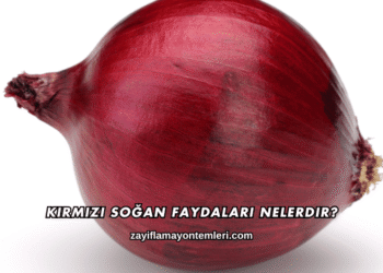 Kırmızı Soğan Faydaları Nelerdir?
