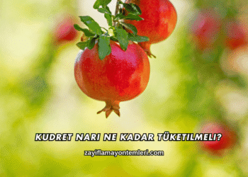 Kudret Narı Ne Kadar Tüketilmeli?