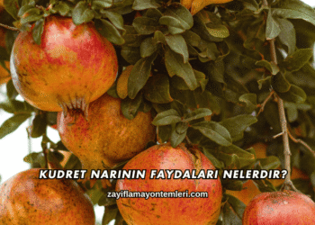 Kudret Narının Faydaları Nelerdir?