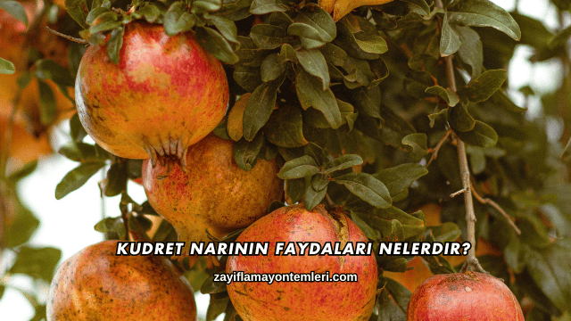 Kudret Narının Faydaları Nelerdir?