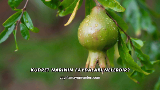Kudret Narının Faydaları Nelerdir?