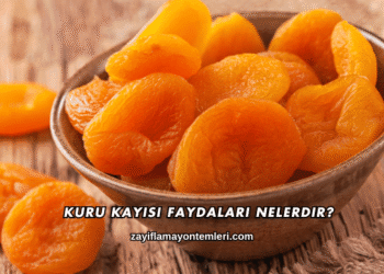 Kuru Kayısı Faydaları Nelerdir?