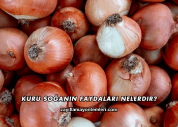 Kuru Soğanın Faydaları Nelerdir?