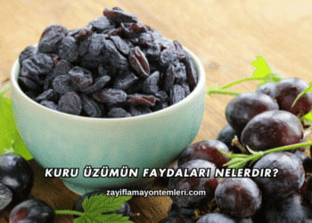 Kuru Üzümün Faydaları Nelerdir?
