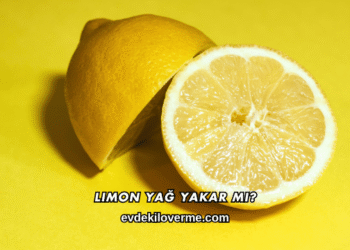 Limon Yağ Yakar mı?