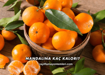 Mandalina Kaç Kalori?