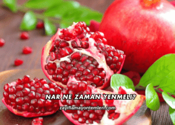 Nar Ne Zaman Yenmeli?