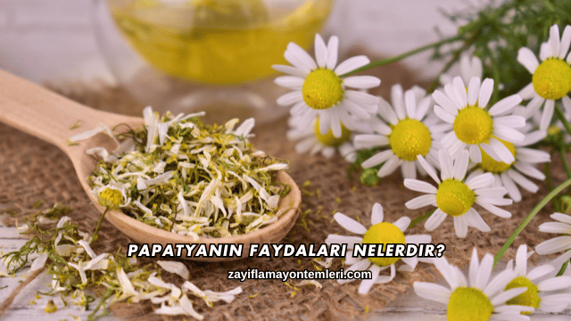 Papatyanın Faydaları Nelerdir?