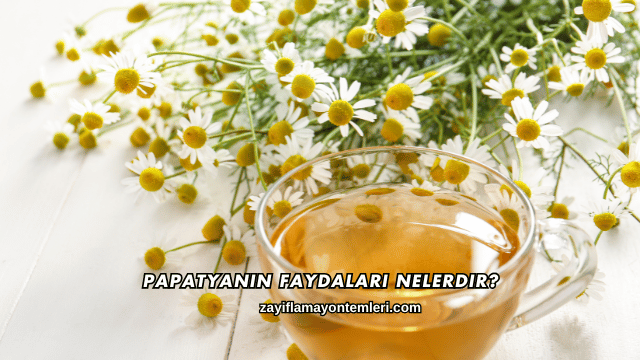 Papatyanın Faydaları Nelerdir?