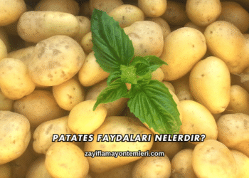 Patates Faydaları Nelerdir?