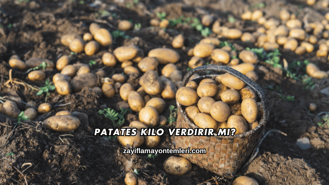 Patates Kilo Verdirir mi?