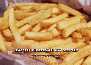 Patates Kızartması Kaç Kalori?