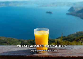 Portakal Suyu Kaç Kalori?