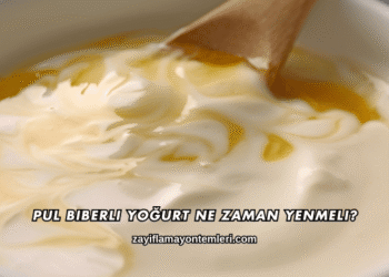 Pul Biberli Yoğurt Ne Zaman Yenmeli?