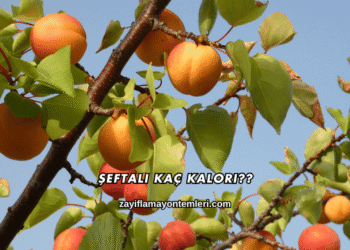 Şeftali Kaç Kalori?