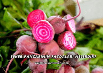 Şeker Pancarının Faydaları Nelerdir?