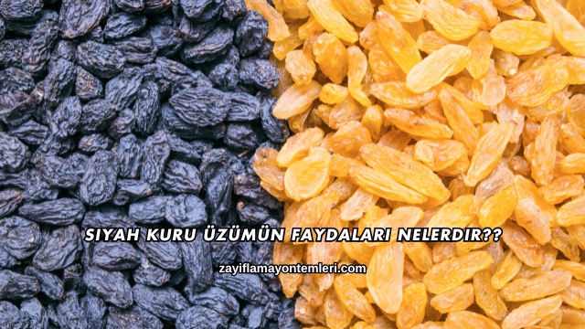 Siyah Kuru Üzümün Faydaları Nelerdir?