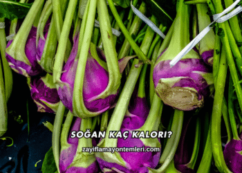 Soğan Kaç Kalori?